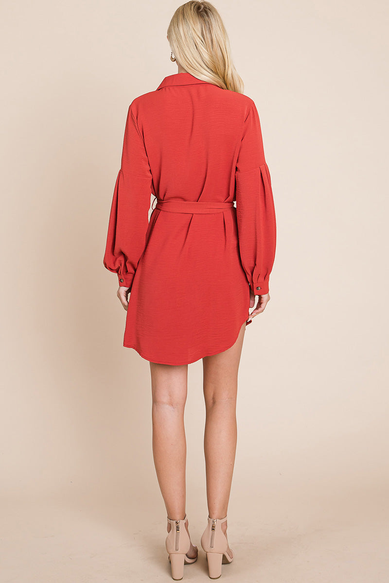Collared Button Down Tie Belt Shirt Dress